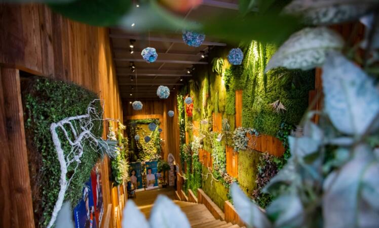 宝鸡足疗洗浴SPA会所猫步时光