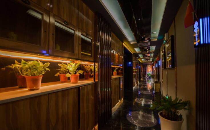 西安高端spa养生会所